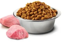 Nu0026D Adultos (1 A 7 Años)^Natural and Delicious Prime Canino Adulto Mini Pollo 10kg