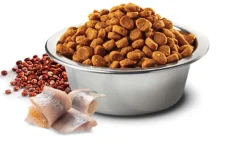 Nu0026D Adultos (1 A 7 Años)^Natural and Delicious Quinoa Skin Coat Arenque para Perros 2.5kg