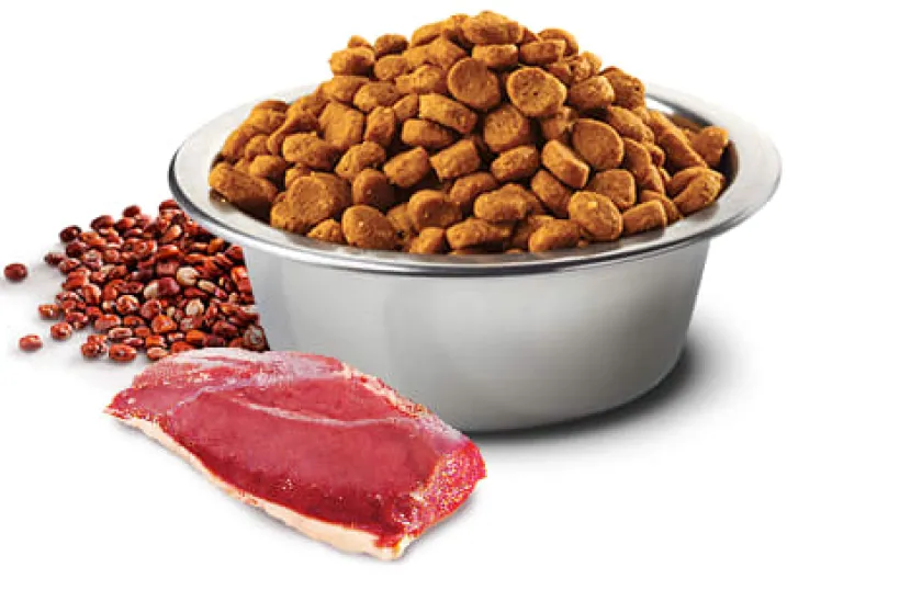 Nu0026D Adultos (1 A 7 Años)^Natural and Delicious Quinoa Skin Coat Pato para Perros 2.5kg