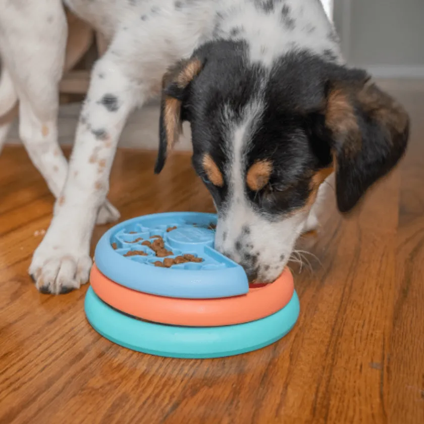 Nina Ottosson Cachorros (0 A 12 Meses)^Comedero Puppy Lickin Layer