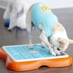 Nina Ottosson Juguetes^Perros Challenge Slider Nivel 3