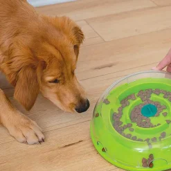 Nina Ottosson Juguetes^Perros Wobble Bowl Nivel 1