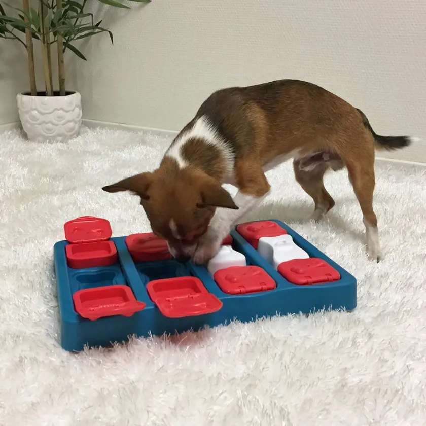 Nina Ottosson Juguetes | Productos Outlet^Puzzle Brick Nivel 2 Juguete para Perros
