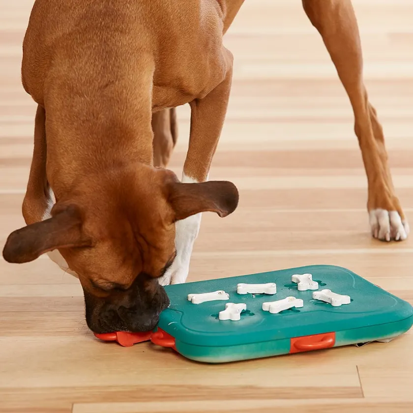 Nina Ottosson Productos Outlet^Puzzle Casino Nivel 3 Juguete para Perros