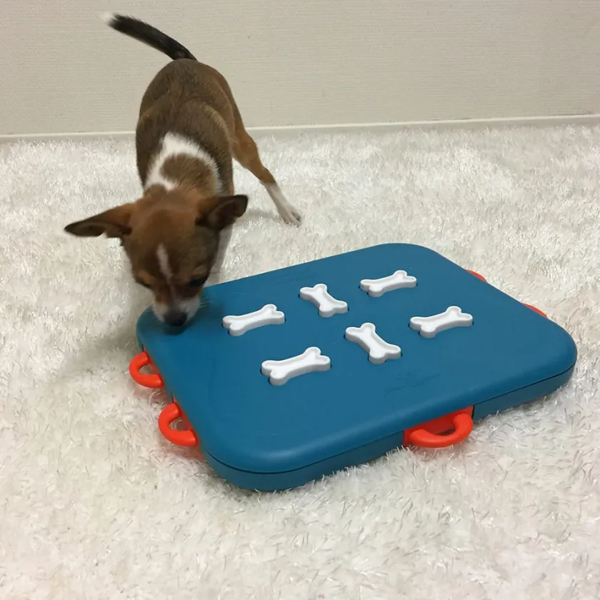 Nina Ottosson Productos Outlet^Puzzle Casino Nivel 3 Juguete para Perros