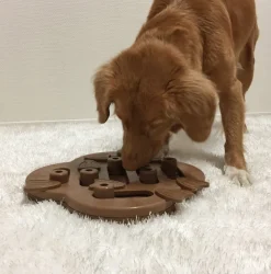 Nina Ottosson Juguetes^Puzzle Hide N Slide Composite Nivel 2 para Perros