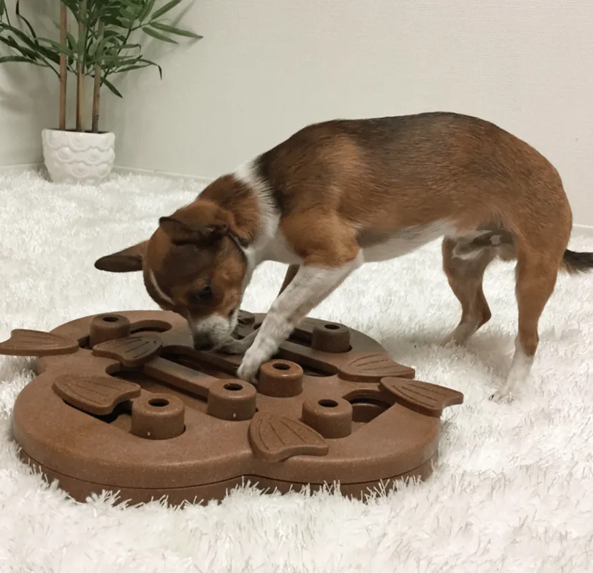 Nina Ottosson Juguetes^Puzzle Hide N Slide Composite Nivel 2 para Perros