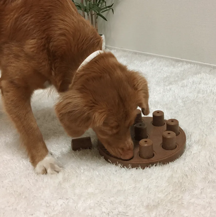 Nina Ottosson Juguetes | Productos Outlet^Puzzle Smart Composite Nivel 1 juguete para perros