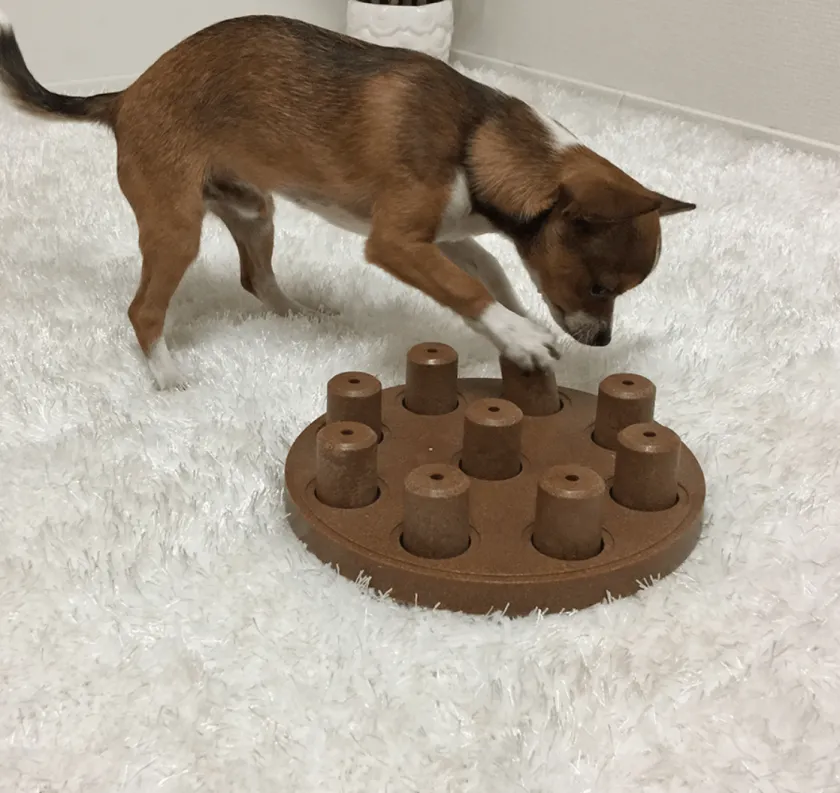 Nina Ottosson Juguetes | Productos Outlet^Puzzle Smart Composite Nivel 1 juguete para perros