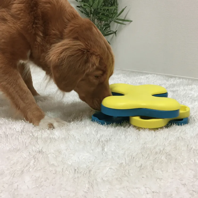 Nina Ottosson Juguetes | Productos Outlet^Puzzle Tornado Nivel 2 para Perros