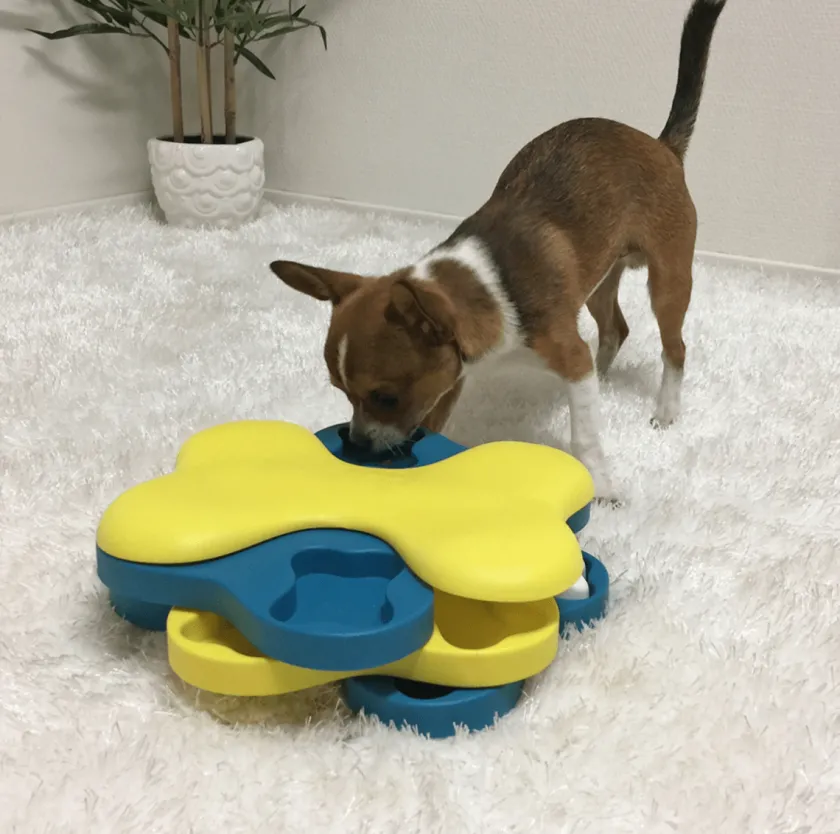 Nina Ottosson Juguetes | Productos Outlet^Puzzle Tornado Nivel 2 para Perros