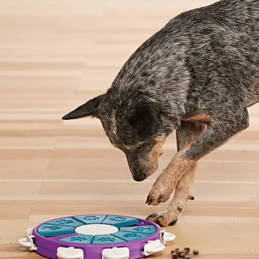 Nina Ottosson Juguetes^Puzzle Twister Nivel 3 para Perros