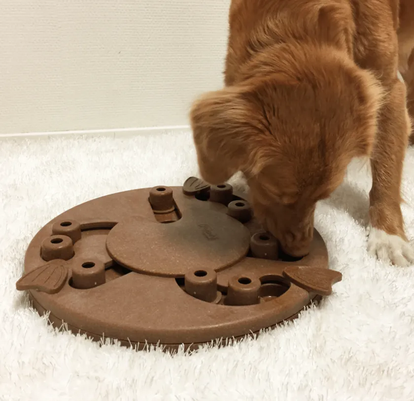 Nina Ottosson Juguetes | Productos Outlet^Puzzle Worker Composite Nivel 3 para Perros