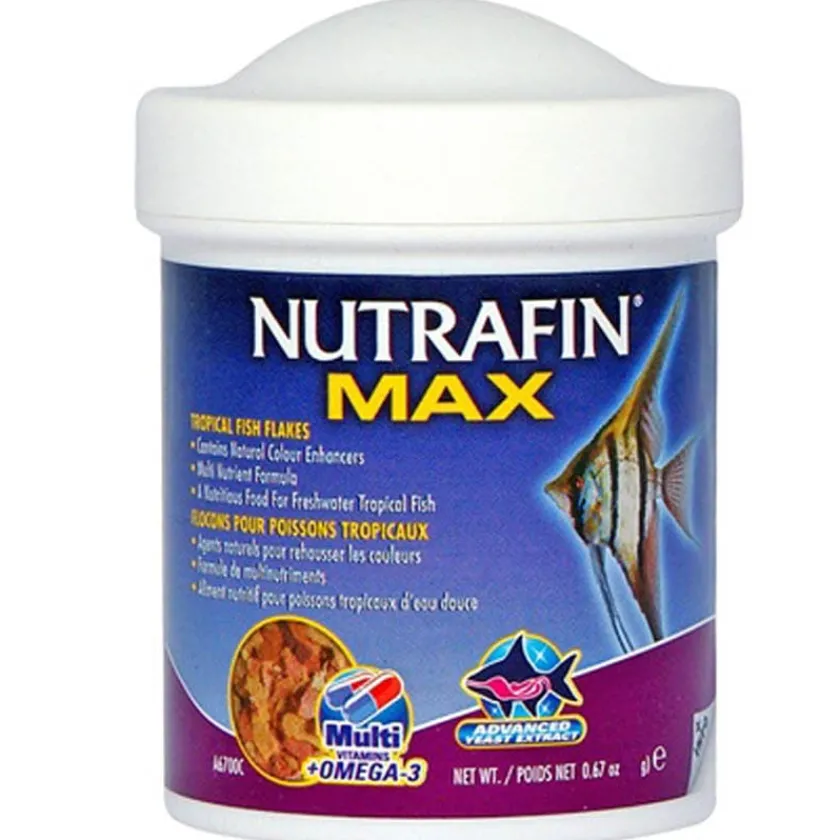 Acuaristica | Productos Outlet^Nutrafin Max para Peces tropicales 38gr