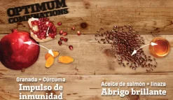 Nutram Adultos (1 A 7 Años)^S7 Sound Balanced Wellness Adult Small 2kg