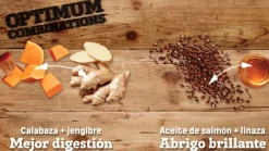 Nutram Adultos (1 A 7 Años)^S6 Sound Balanced Wellness 2kg