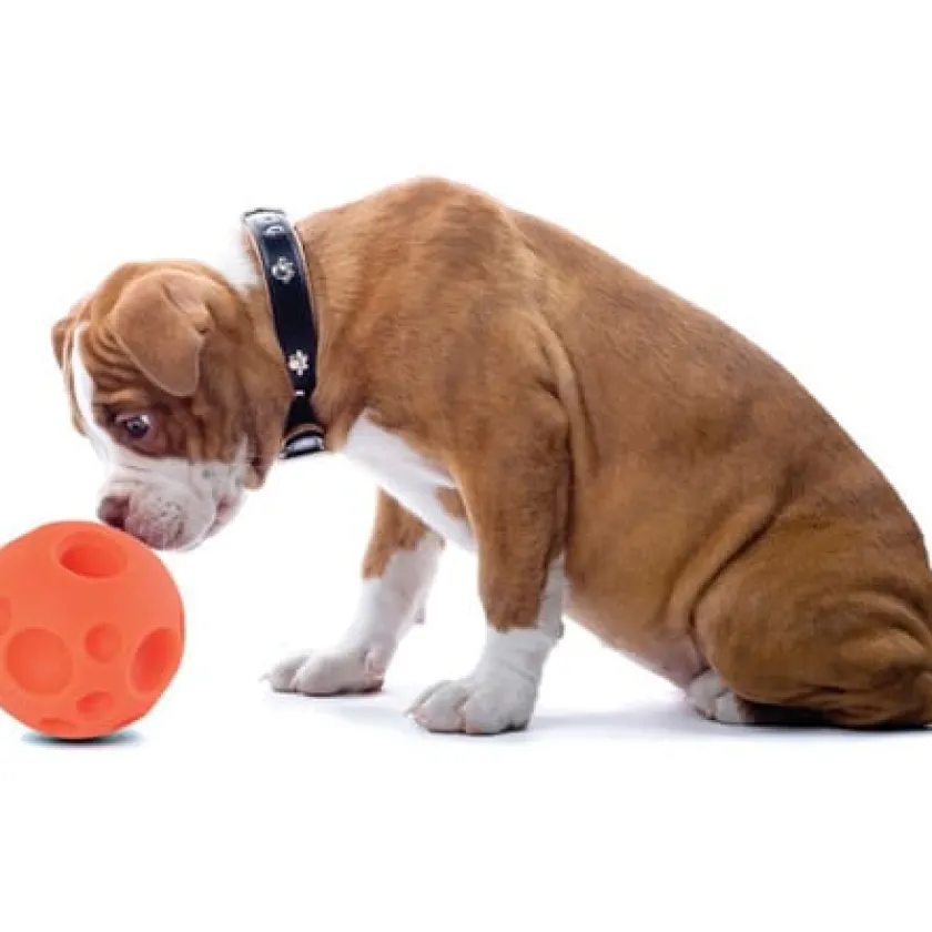 Omega Paw Juguetes^Pelota para Golosinas Small