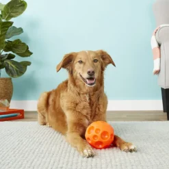 Omega Paw Juguetes | Senior (+7 Años)^Pelota para Golosinas Medium
