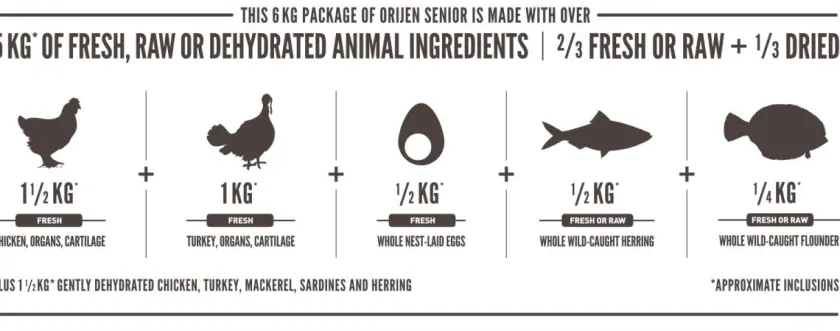 Orijen Senior (+7 Años)^Dog Senior 10.6kg