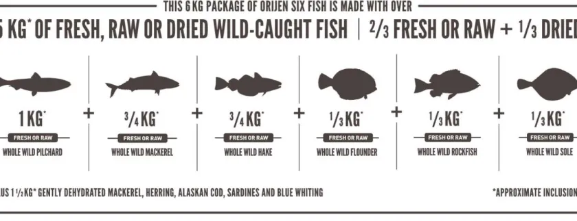 Orijen Senior (+7 Años) | Adultos (1 A 7 Años)^Six Fish 5.9kg