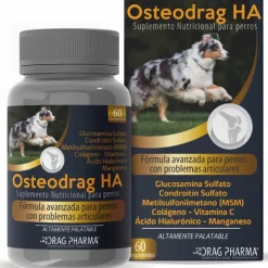 Vitaminas Y Suplementos | Post Operatorio^Osteodrag HA 60 comprimidos