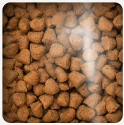 Oven Baked Senior (+7 Años) | Adultos (1 A 7 Años)^Cat Grain Free Chicken 4.54kg