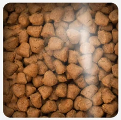 Oven Baked Senior (+7 Años) | Adultos (1 A 7 Años)^Cat Grain Free Duck 2.27kg
