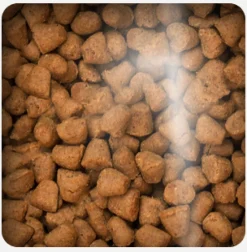 Oven Baked Gatitos (0 A 12 Meses)^Cat Traditional Kitten Chicken 2.27kg