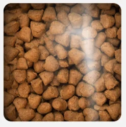 Oven Baked Adultos (1 A 7 Años)^Cat Traditional Adult Fish 2.27kg
