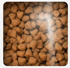 Oven Baked Control Peso | Senior (+7 Años)^Cat Traditional Senior and Light Chicken 4.54kg