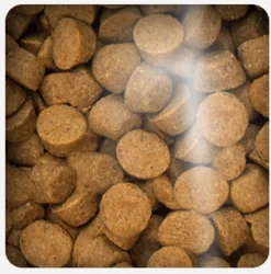 Oven Baked Adultos (1 A 7 Años) | Cachorros (0 A 12 Meses)^Dog Grain Free Duck All Breed 10.43kg