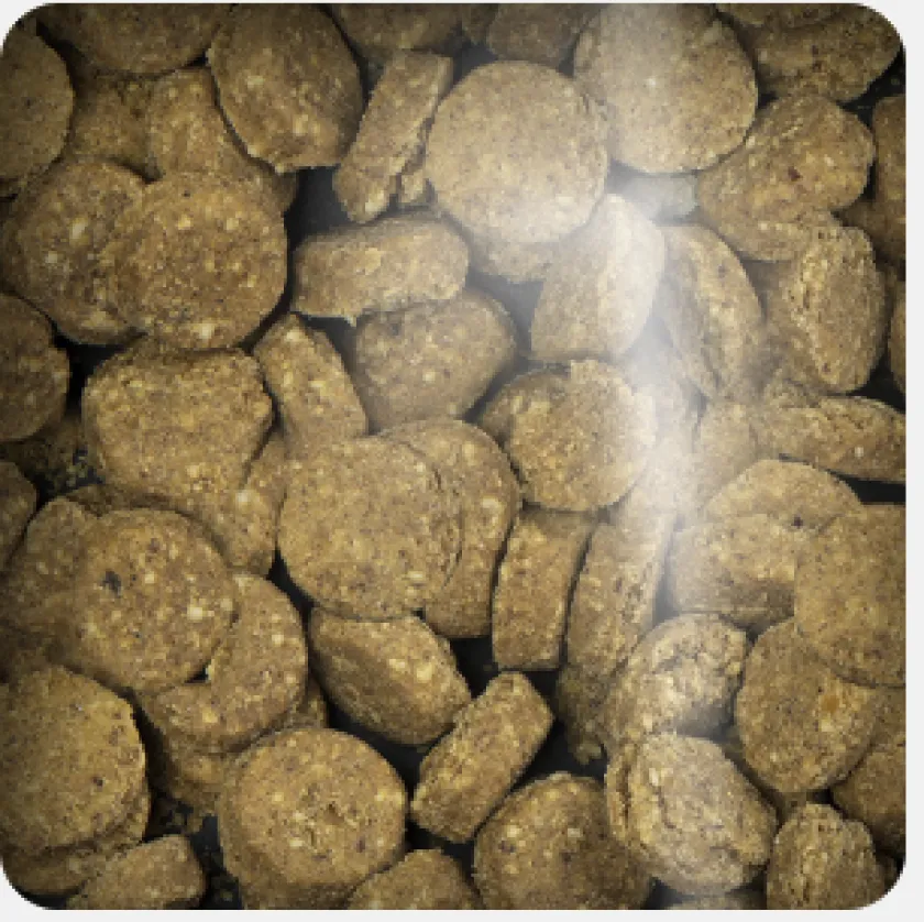 Oven Baked Galletas Y Snacks^Dog Grain Free Chicken Pumpkin Treats 227gr