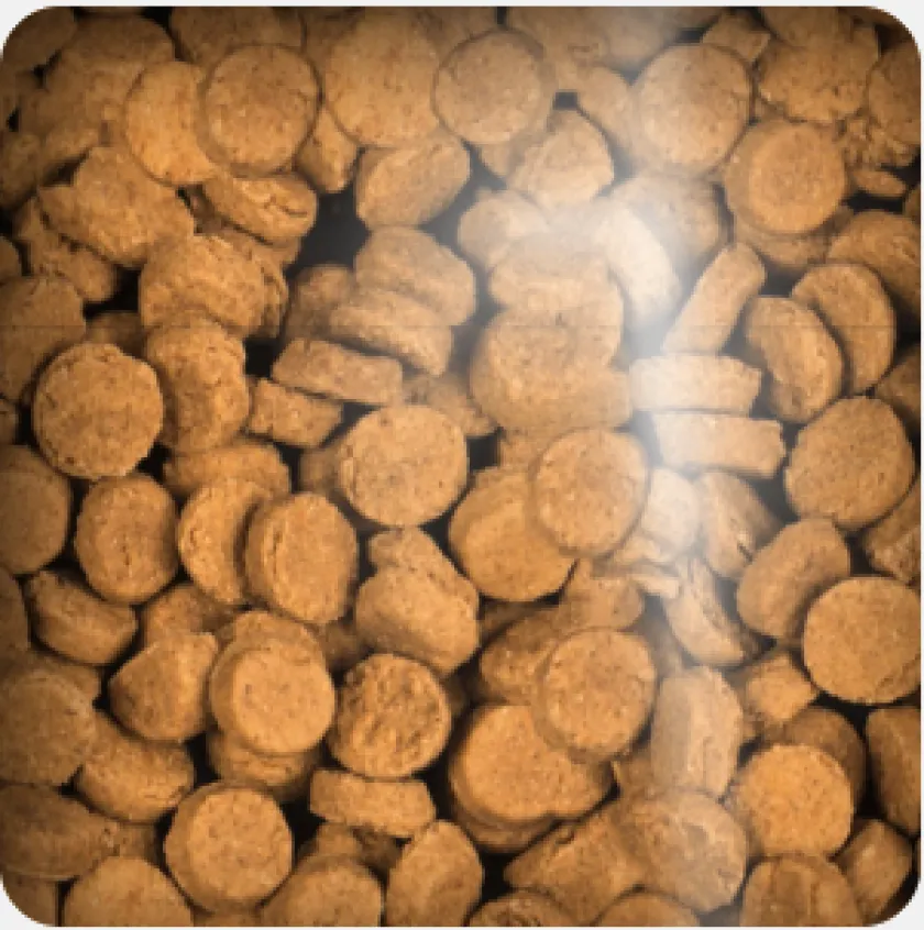 Oven Baked Galletas Y Snacks^Dog Liver Treats 227gr