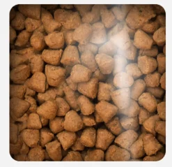 Oven Baked Adultos (1 A 7 Años)^Dog Traditional Adult Fish Small Breed 5.67kg