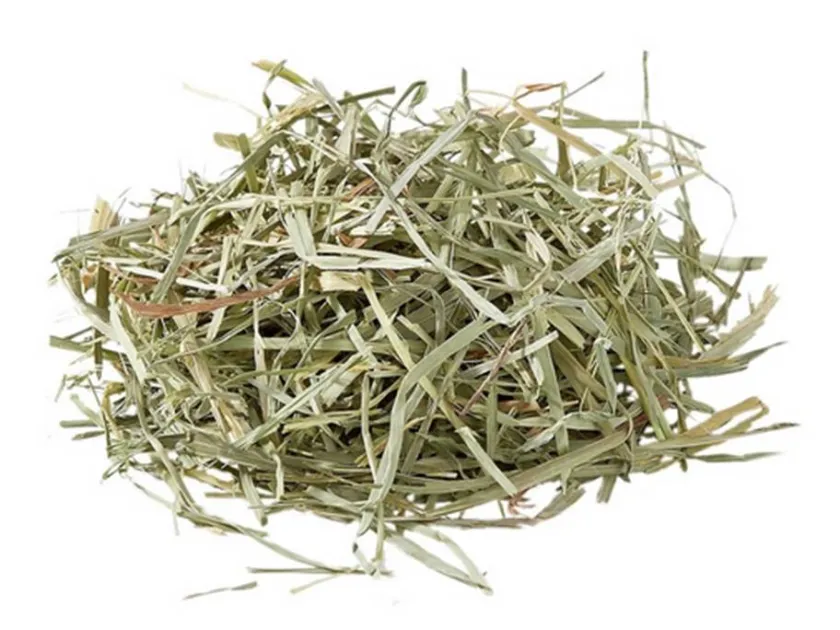 oxbow Hámsters | Chinchillas^HENO ORCHARD GRASS 425GR
