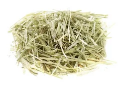 oxbow Cobayos / Cuys^WESTERN TIMOTHY GRASS 1.13Kg