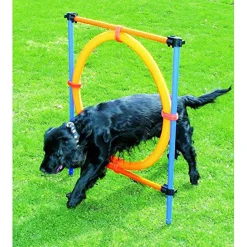 Pawise Adiestramiento | Productos Outlet^Agility Aro