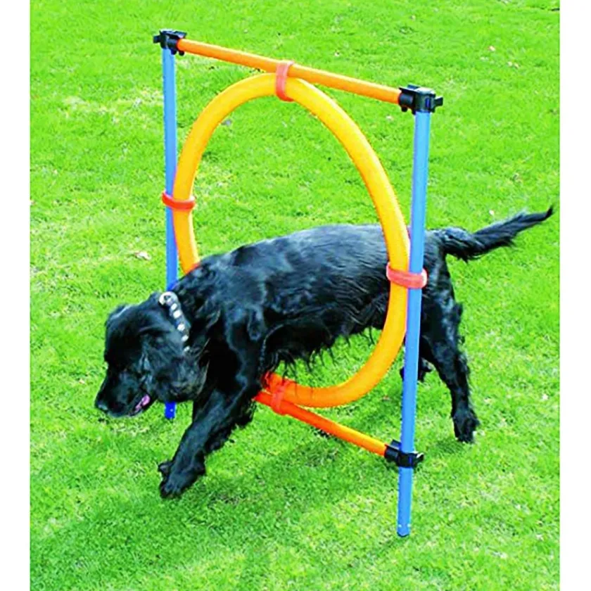 Pawise Adiestramiento | Productos Outlet^Agility Aro