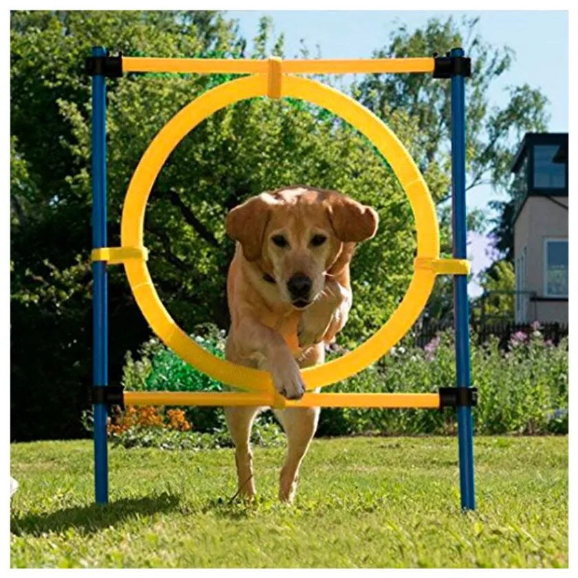Pawise Adiestramiento | Productos Outlet^Agility Aro