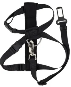 Pawise Arnes, Collares Y Correas | Adultos (1 A 7 Años)^Arnes y Cinturon de Seguridad Medium