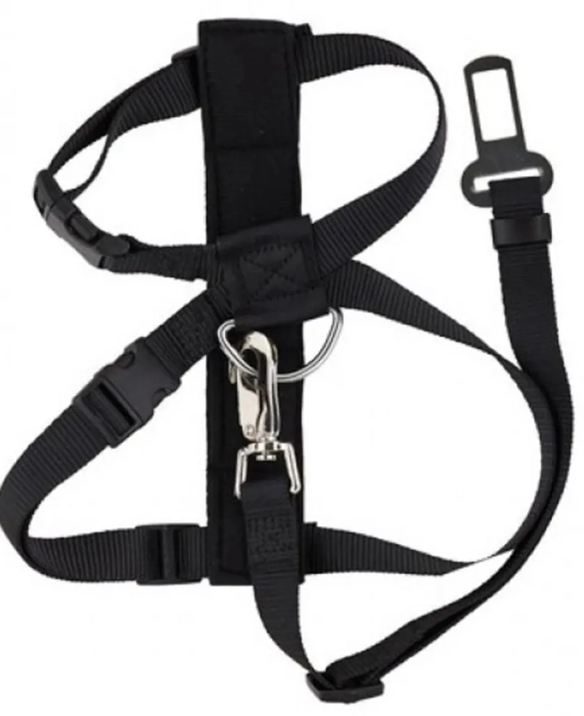 Pawise Productos Outlet^Arnes y Cinturon De Seguridad Large