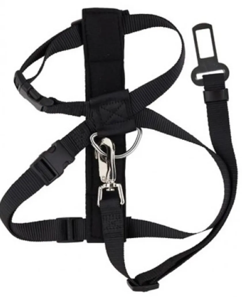 Pawise Cinturones De Seguridad | Productos Outlet^Arnes y Cinturon de Seguridad Small