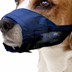 Pawise Arnes, Collares Y Correas | Adiestramiento^Bozal para Perros de tela