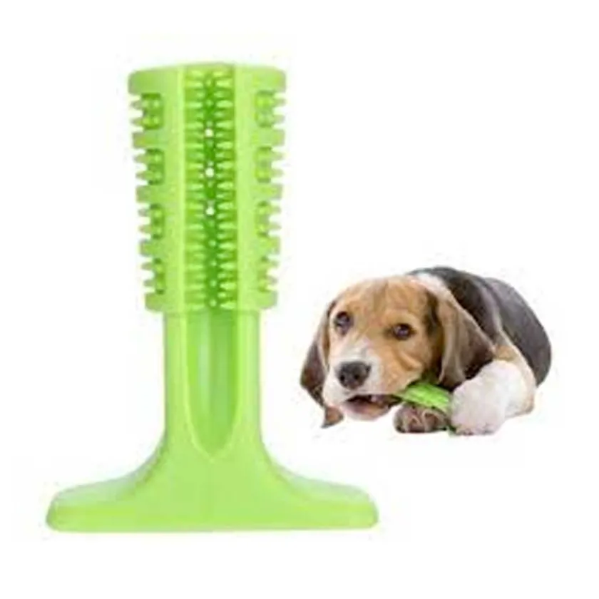 Pawise Cuidado Dental^Cepillo de Dientes Medium Chewy para Perros