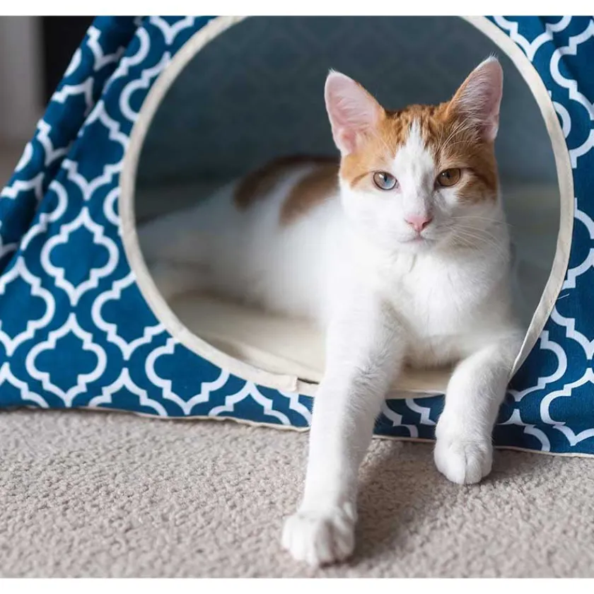 P.L.A.Y. Casas Y Transportadoras Para Gatos | Casas Y Transportadoras Para Perros^Play Carpa Teepee Classic Morroccan Navy