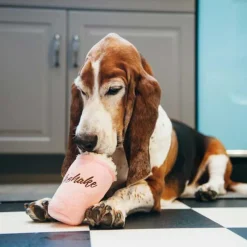 P.L.A.Y. Juguetes | Productos Outlet^Play Dog American Classic Milkshake