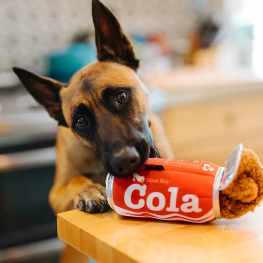 P.L.A.Y. Juguetes | Productos Outlet^Play Dog Snacks