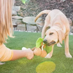 P.L.A.Y. Juguetes | Productos Outlet^Play Dog Tropical