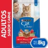 Cat Chow - Purina Adultos (1 A 7 Años)^Purina Cat Chow Adultos Carne con Defense Plus 8kg