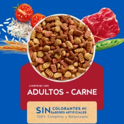 Cat Chow - Purina Adultos (1 A 7 Años)^Purina Cat Chow Adultos Carne con Defense Plus 19.5kg